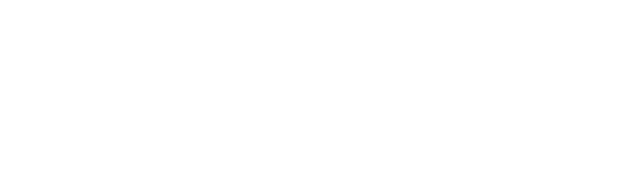 Lowe Trial Lawyers white transparent logo